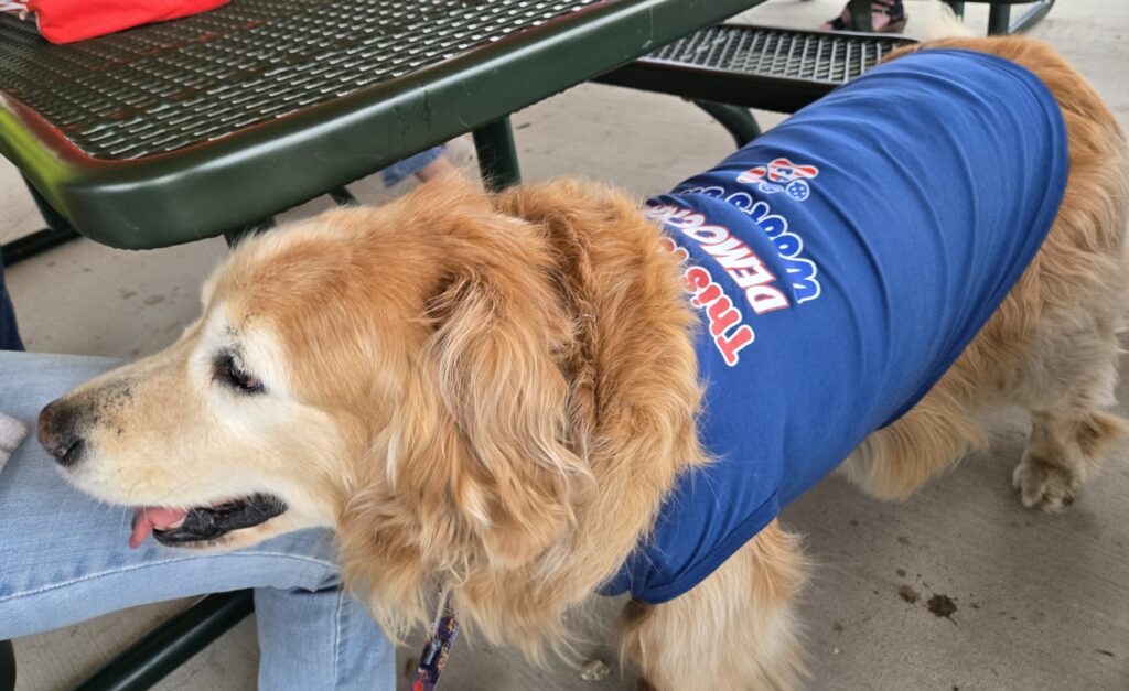 A photo from May 30, 2025 at Heritage Park in Canton, Mich.