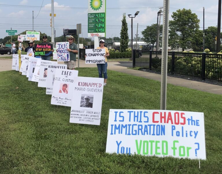 Signs lined up on a public lawn protesting the Donald Trump administration. August 2025.